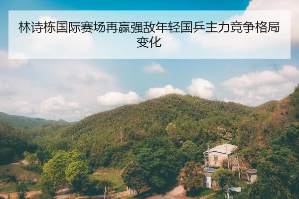 林诗栋国际赛场再赢强敌年轻国乒主力竞争格局变化