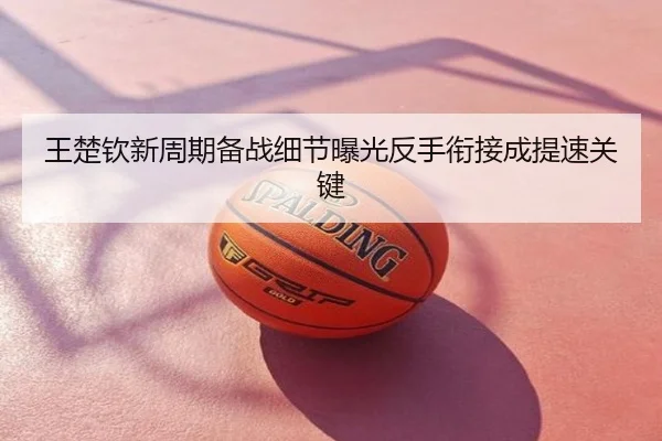 王楚钦新周期备战细节曝光反手衔接成提速关键