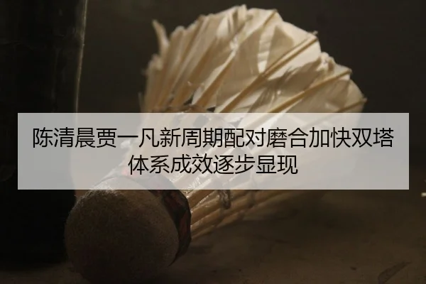陈清晨贾一凡新周期配对磨合加快双塔体系成效逐步显现